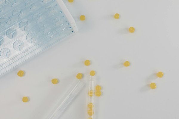 Le baobab : un super aliment biologique à savourer !